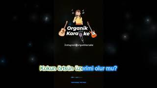 Papatya karaoke Hirai Zerdüş [upl. by Airemahs]