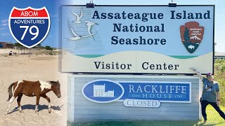 Assateague Island National Seashore [upl. by Leahplar]