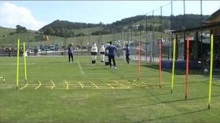 Allenamento portieri Hellas Verona 300709 [upl. by Ttoile559]