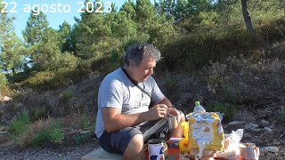 Monitoraggio del nido di Caretta caretta di Badesi episodio 1 [upl. by Cutcheon]