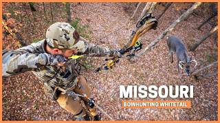 Bowhunting MidWest Whitetails with Brian Call amp Mark Livesay Big buck at 6 yards [upl. by Kloster]