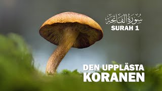 Koranen på svenska  Surah 1  alFatihah  Ingressen  Med svensk översättning koranenpåsvenska [upl. by Gerc]