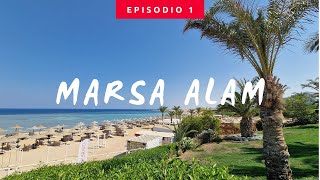 Marsa Alam  Bravo Fantazia  Primo snorkeling dalla spiaggia Pt1 [upl. by Eissirk]