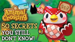 50 SECRETS You STILL Dont Know  Animal Crossing New Horizons [upl. by Dibb]