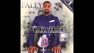 Fally Ipupa  Amour Assassin Official Audio [upl. by Rimidalb]