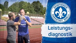 Darmstadt 98  Leistungsdiagnostik [upl. by Cosetta]