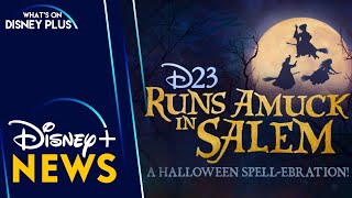 D23 Runs Amuck In Salem – A Halloween Spellebration Special Event Announced  Disney Plus News [upl. by Wexler]