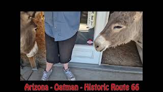 USA 2024  Arizona  Oatman  Historic Route 66 [upl. by Hadeehuat]