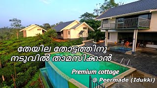 Beautiful Cottage with Swimming pool  Best homestay with swimming pool [upl. by Liamsi]