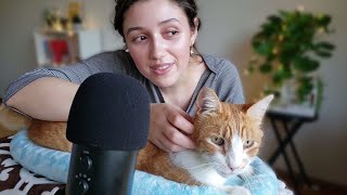 ASMR Cat Pampering 😽 purring brushing soft whispers [upl. by Morita]