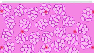 HIPERHIDROSIS RADIOFRECUENCIA [upl. by Hahnert]