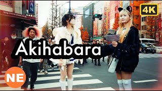 Tokyo  Akihabara 4K Walk  holiday season [upl. by Eladal]