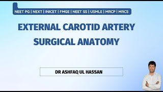 External Carotid Artery  Angiology for NEET PG  FMGE INICET [upl. by Aremus421]