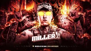 PITBULL FAIXA PRETA  DJ MILLER feat MC PL Alves [upl. by Willabella]