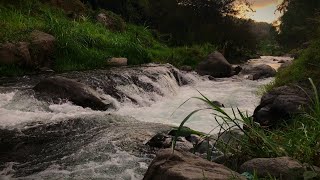 Relaxing Nature Waterfall Sounds for Sleep and healing Relaxing river sounds for sleep study work [upl. by Posner]