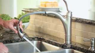 Moen Walden Pullout Kitchen Faucet featuring Reflex amp Microban [upl. by Neel]