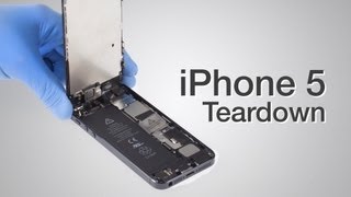 iPhone 5 Teardown  Step by step complete disassembly directions [upl. by Haret]