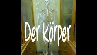 Learn German Der Körper [upl. by Olinde]