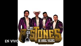 Los Pistones De Uriel Valdez CD En Vivo 2018 [upl. by Attennyl]