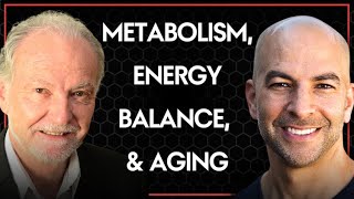 324‒Metabolism energy balance and aging the impact of diet calorie restriction amp macronutrients [upl. by Fedora344]