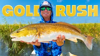 Americas Fishing Gold Rush Redfish in the Marsh Venice Louisiana [upl. by Nomla898]