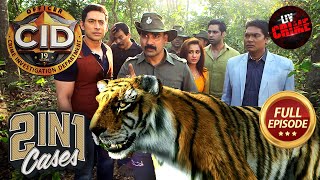 Forest Ranger संग CID Team का Thrilling Wild Expedition  CID  सीआईडी CID Movies  11 June 2024 [upl. by Rhianna]