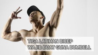 3 LATIHAN ASAS BICEP  DUMBELL SAHAJA [upl. by Leopoldine]