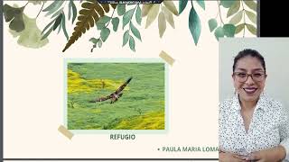 Avance de Portafolio 1PaulaMariaLomaChaupin [upl. by Neelyt]