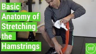 Basic Anatomy of Stretching the Hamstrings  Ep 102  Movement Fix Monday  Dr Ryan DeBell [upl. by Tersina816]