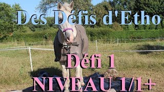 Des Défis dEtho Défi 1 Niveau 11 [upl. by Klatt]