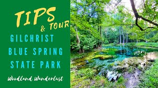 Gilchrist Blue Spring Tips 2 and Campground Tour Campsites State Park Florida [upl. by Legnalos]