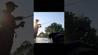 fishing mechaniclife jagdterrier tomos foodlovers doglover trout grill river pecanje [upl. by Jamila328]