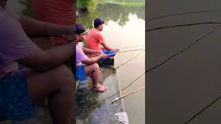 Hook fishing in big pondfishing shortvideo [upl. by Eiramrebma]