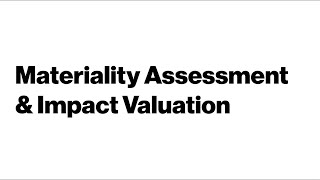 Materiality Assessment amp Impact Valuation [upl. by Heindrick687]