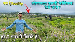 लोनावला के करवी फूल असली या नकली Exact Location📍 Vlog no 16 [upl. by Ahsielat]