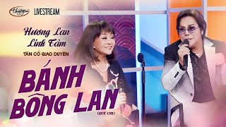 Tân Cổ Giao Duyên Bánh Bông Lan  Hương Lan Linh Tâm [upl. by Aikahc300]