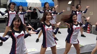 4K 60p 千葉商科大学 チアダンスチーム glitters  USA [upl. by Annaehs]