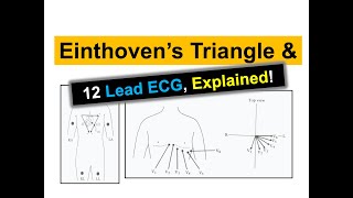 What does Einthovens Triangle entail and what is the process for creating a 12Lead ECG [upl. by Osnohpla]