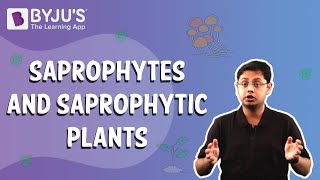 Saprophytes and Saprophytic Plants [upl. by Otrepur965]