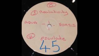 Aqua Fortis  Realativity LIN 5  1992 [upl. by Asiilanna]