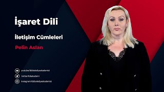 İşaret Dili  İletişim Cümleleri [upl. by Hebner316]