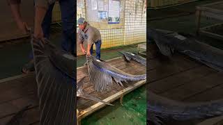 Stunning Sailfish A Beautiful Catch at the Fishing Market sailfish fishing [upl. by Cyrille]