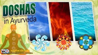 Doshas in Ayurveda [upl. by Ellehcir581]