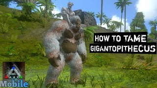 How To Tame Gigantopithecus Ark MobileS1E31 [upl. by Filemon392]