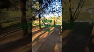 কুমিল্লা ক্যান্টনমেন্ট পার্কে 💚💚shorts foryou reelsshorts park comilla cantonment viralvideo [upl. by Groscr]