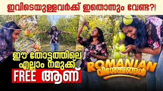 ഈ ഒരൊറ്റ കാരണം മതി റൊമാനിയ ഇഷ്ടപ്പെടാൻ  ROMANIAN FARM VLOG [upl. by Assyral]