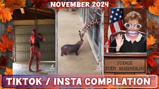 quotIRL Madagascarquot  Laugh and you lose Tiktok Insta Nov 2024 [upl. by Yawnoc]