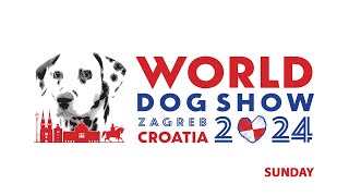 WDS 2024 ZAGREB  Sunday [upl. by Rayburn]