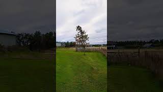 Very windy day on whidbey island [upl. by Nawuq]