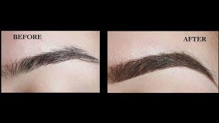 How to Get Thick Eyebrows Naturally Fast  Dark Eyebrows  Thick Eyebrows [upl. by Ozzie869]